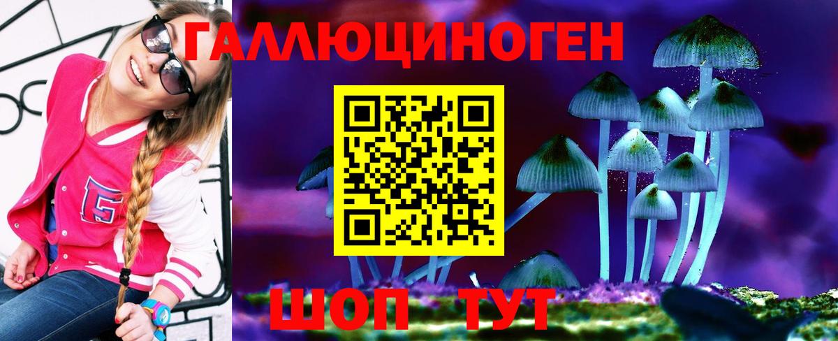 где можно купить   Вход с VPN  Галлюциногенные грибы ЛСД  Алексеевка  Псилоцибиновые грибы ЛСД 